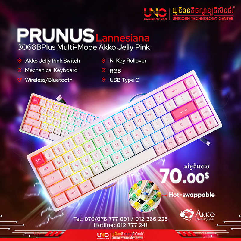 Prunus Lannesiana 3068B Plus Multi-Mode Akko Jelly Pink ( Wireless/Bluetooth/USB Type C / RGB / Akko Jelly Pink Switch / Hot-swappable / N-Key Rollover / Mechanical Keyboard )
